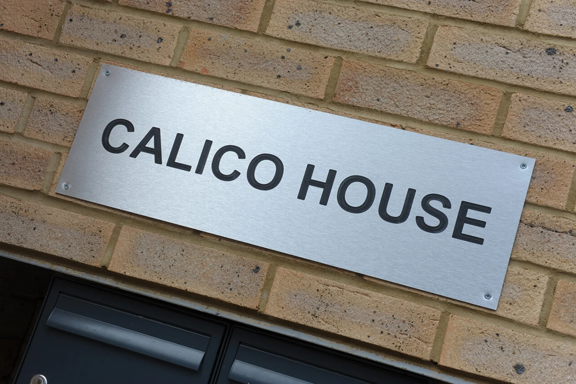 Calico 2